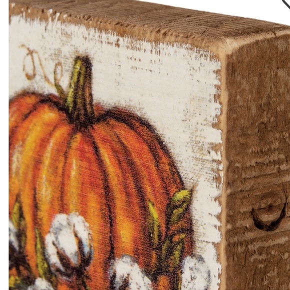 Pumpkin with cotton - Picture 4 of 4